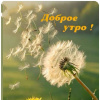 Без имени, 41 год, Свинг знакомства, Гродно
